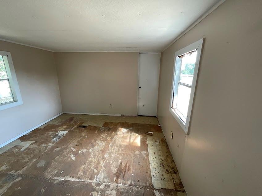 12 Dandelion Street