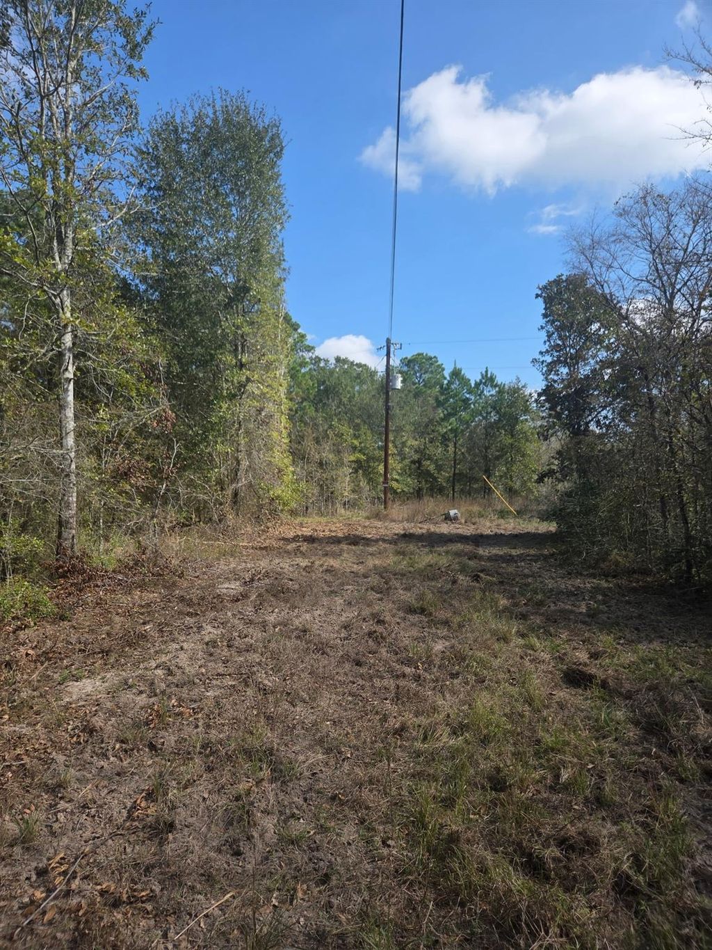 Photo of 0 Archie Road, Huntsville, TX 77340 (MLS # 22869907)