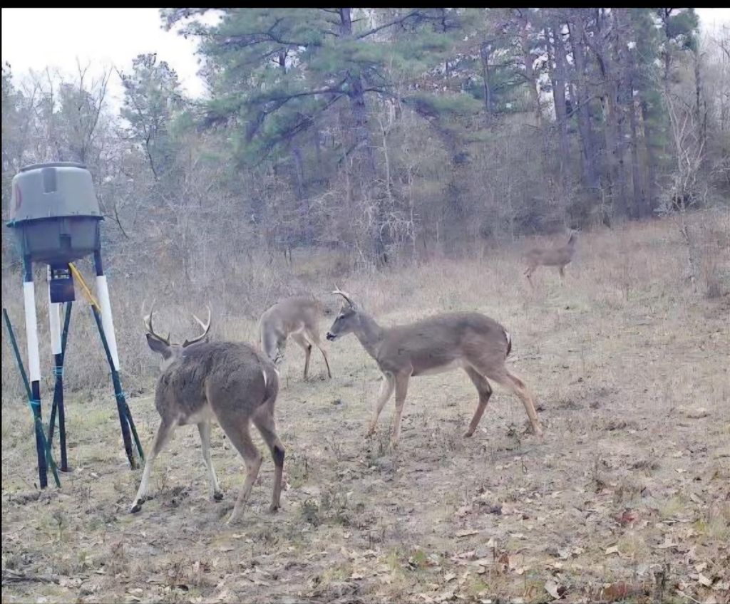 Photo of 0 Archie Road, Huntsville, TX 77340 (MLS # 22869907)