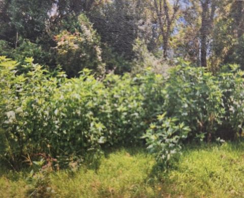 Vacant Land For Sale - 120 Alabama<br/> Liberty, TX 77575