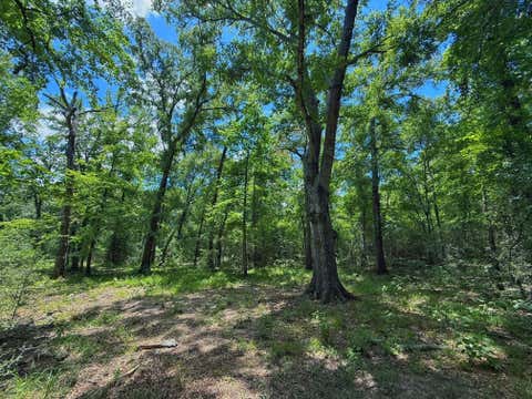 Photo of TBD Cr 296, Oakwood, TX 75855 (MLS # 46308783)