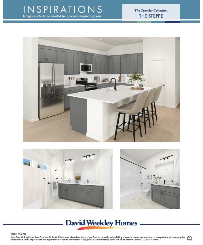 16251 Blue Mistflower Lane