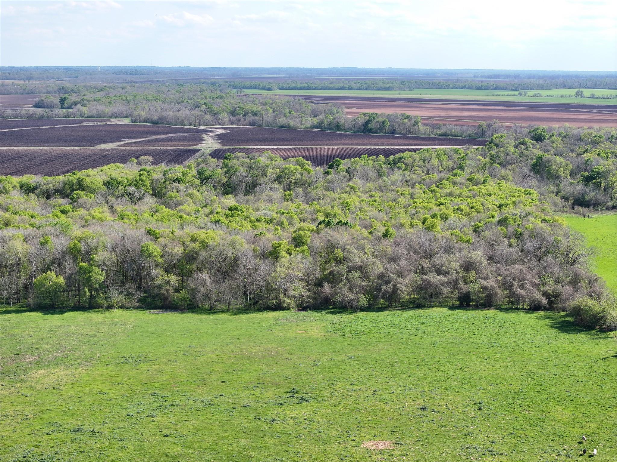 11581 County Road 419