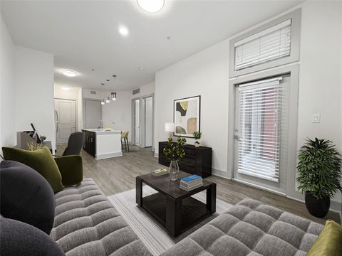 306 Mcgowen Street 14 Houston TX 77006