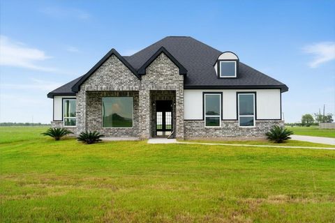 Photo of 395 Brahman Trail, Angleton, TX 77515 (MLS # 66265706)