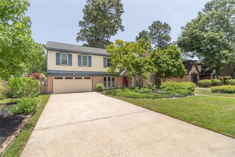 19518 Alinawood Drive Humble TX 77346