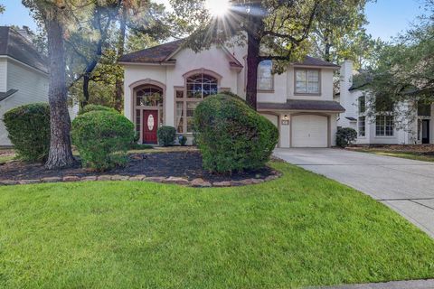 22 S Greywing Place The Woodlands TX 77382