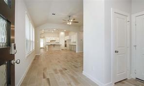 707 Lacebark Elm Trail