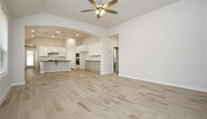 707 Lacebark Elm Trail