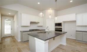 707 Lacebark Elm Trail