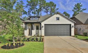 707 Lacebark Elm Trail