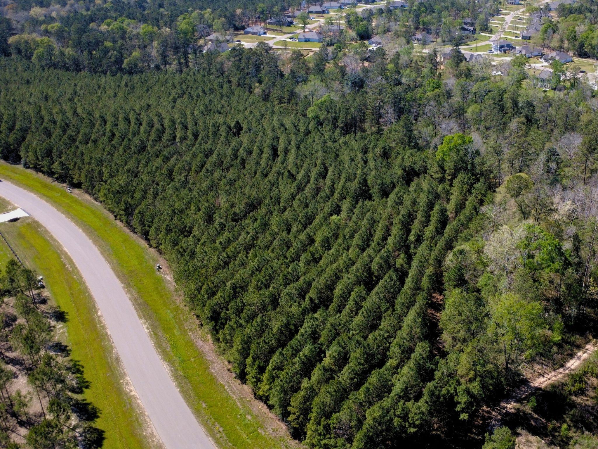 15761 Ridge Rock Road