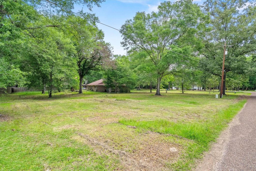 Photo of 38 Woodbranch Drive, Woodbranch, TX 77357 (MLS # 75306695)