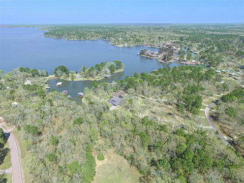 Photo of 120 Island Drive, Livingston, TX 77351 (MLS # 93641051)