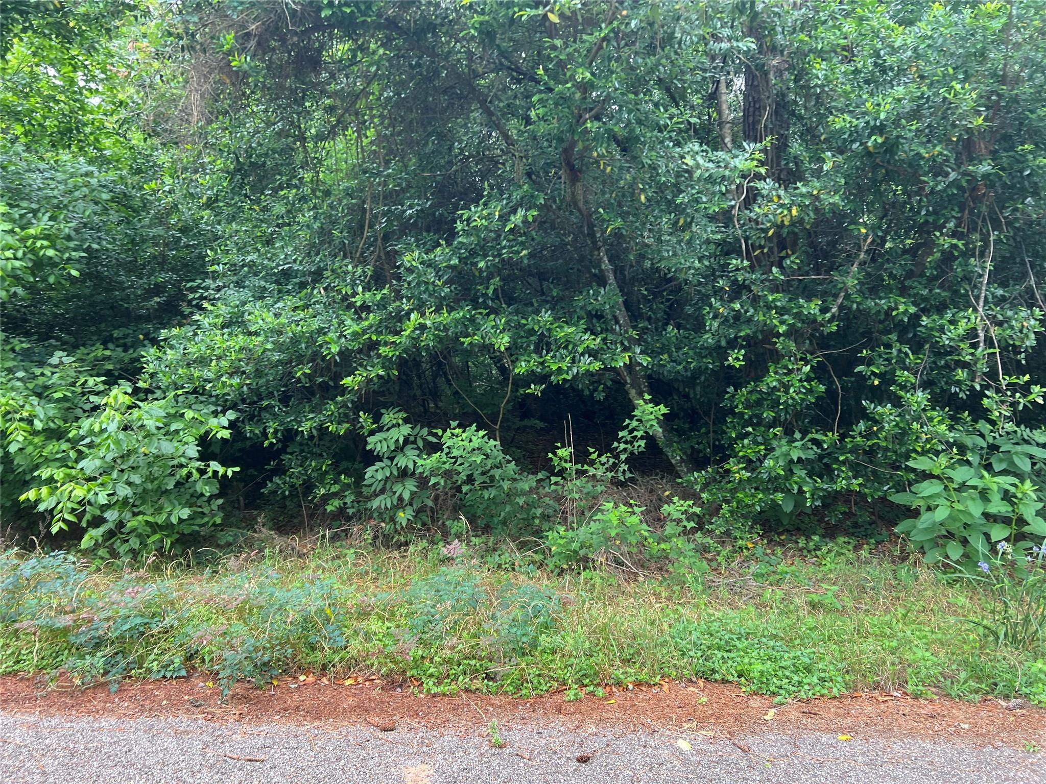0 Rollingwood Loop