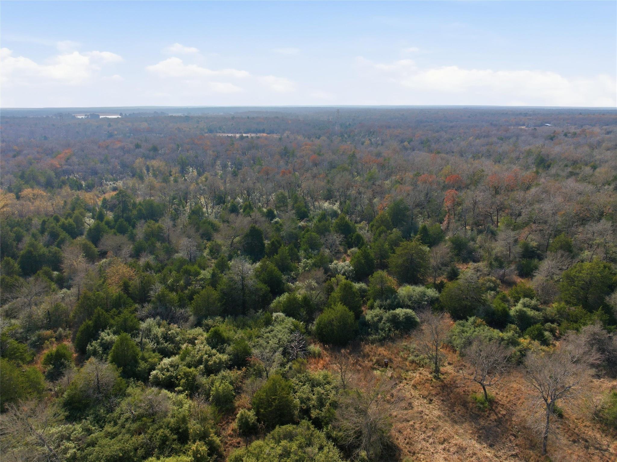 62 Acres Fm-937