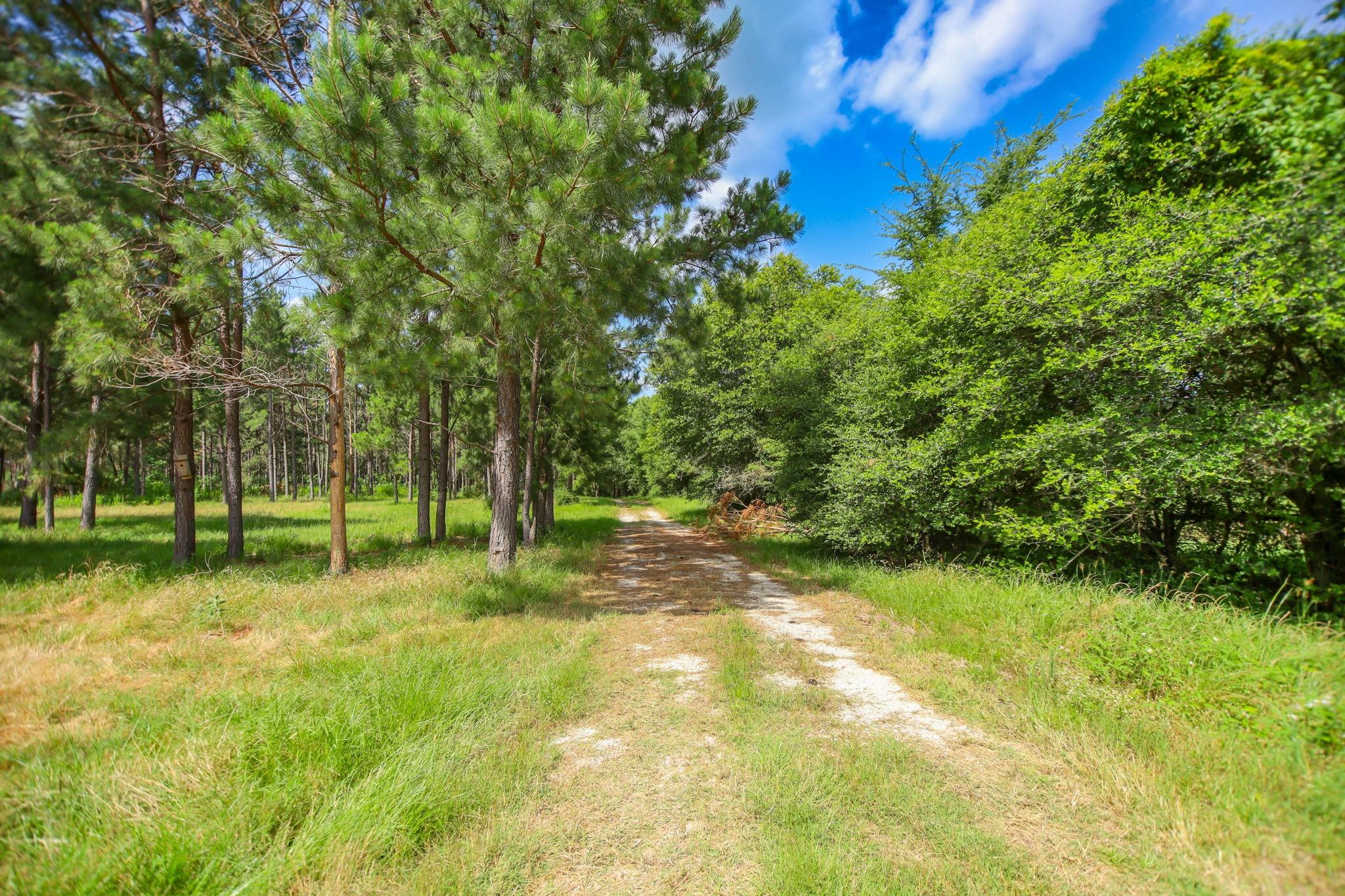 1950 Buckhorn Creek Drive