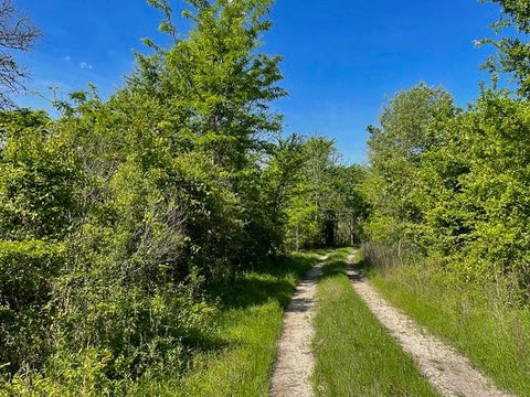 Vacant Land For Sale - 8763 Fm 356<br/> Trinity County, Trinity, TX 75862