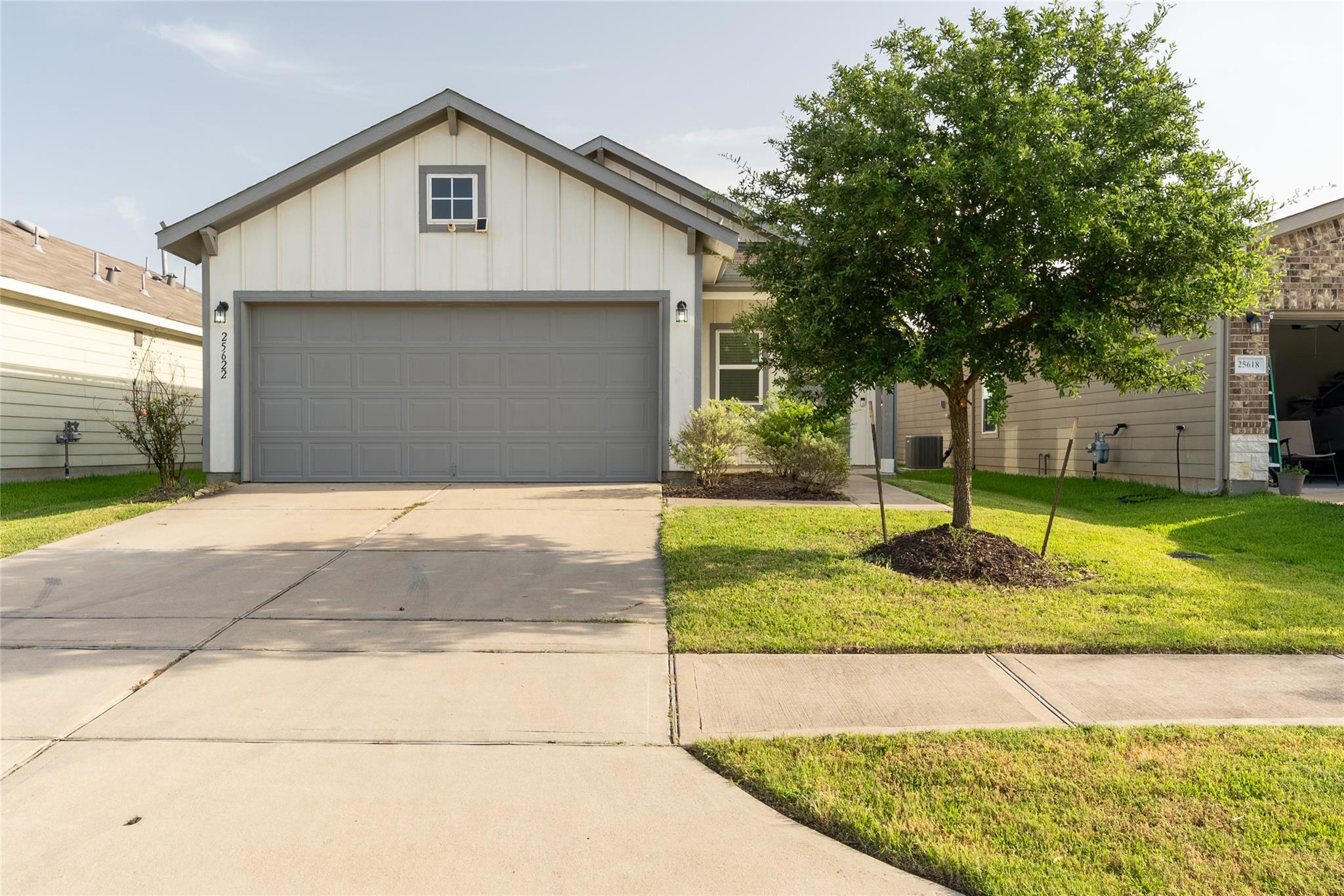 25622 Royal Catchfly Road