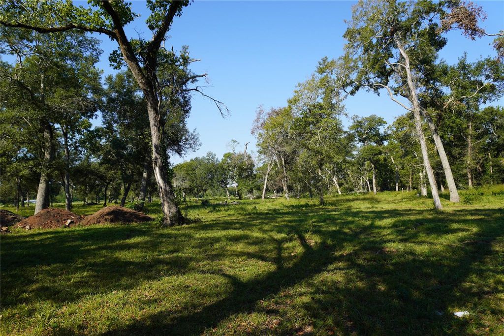 Photo of 0 Jerry-Lot 3, Thompsons, TX 77469 (MLS # 58369383)
