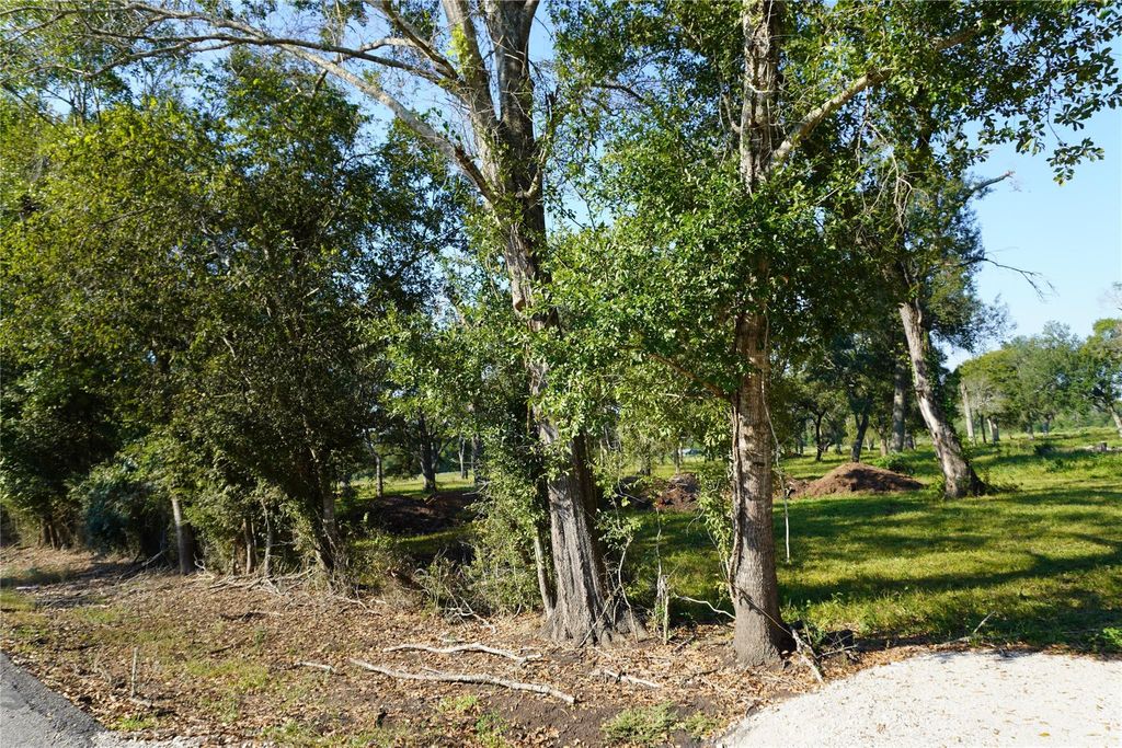 Photo of 0 Jerry-Lot 3, Thompsons, TX 77469 (MLS # 58369383)