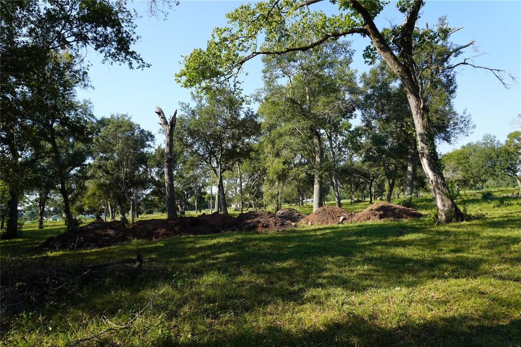 Photo of 0 Jerry-Lot 3, Thompsons, TX 77469 (MLS # 58369383)