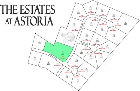 Photo of 107 Astoria Avenue, Round Top, TX 78954 (MLS # 61255352)