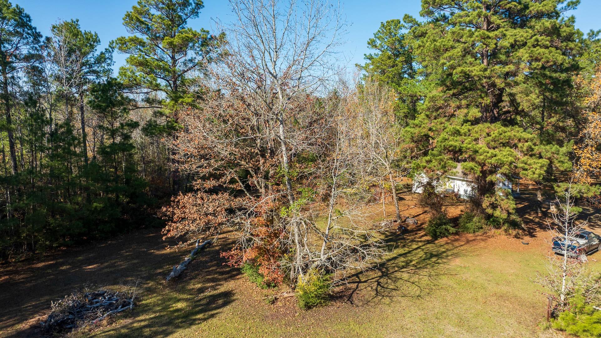 23684 Fm 227 E - Photo 3