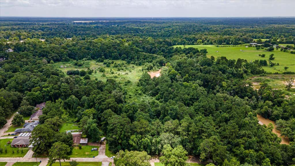 Photo of 0 Alpestrine Dr, New Caney, TX 77357 (MLS # 85717280)