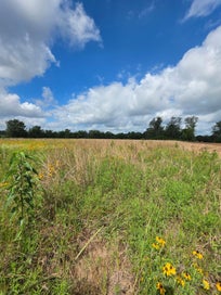 TBD LOT 16 County Road 201 Plantersville TX 77363