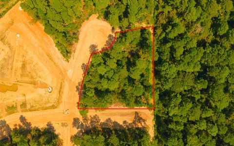 Photo of 3911 Augusta Drive, Montgomery, TX 77316 (MLS # 82626841)