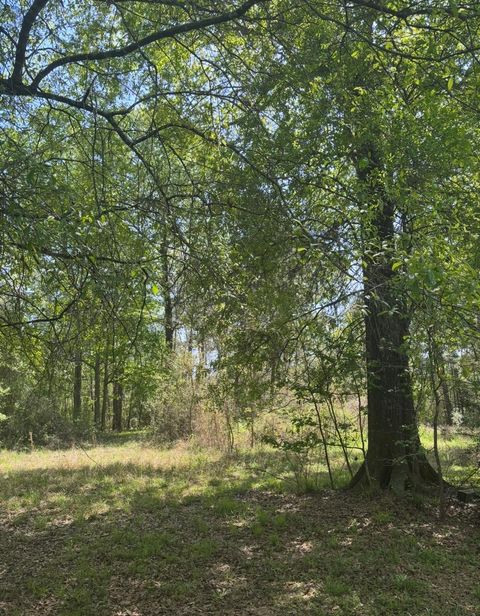 Photo of 668 County Road 647, Dayton, TX 77535 (MLS # 4554136)