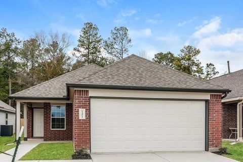 Photo of 13412 White Ibis Street, Splendora, TX 77372 (MLS # 82727724)