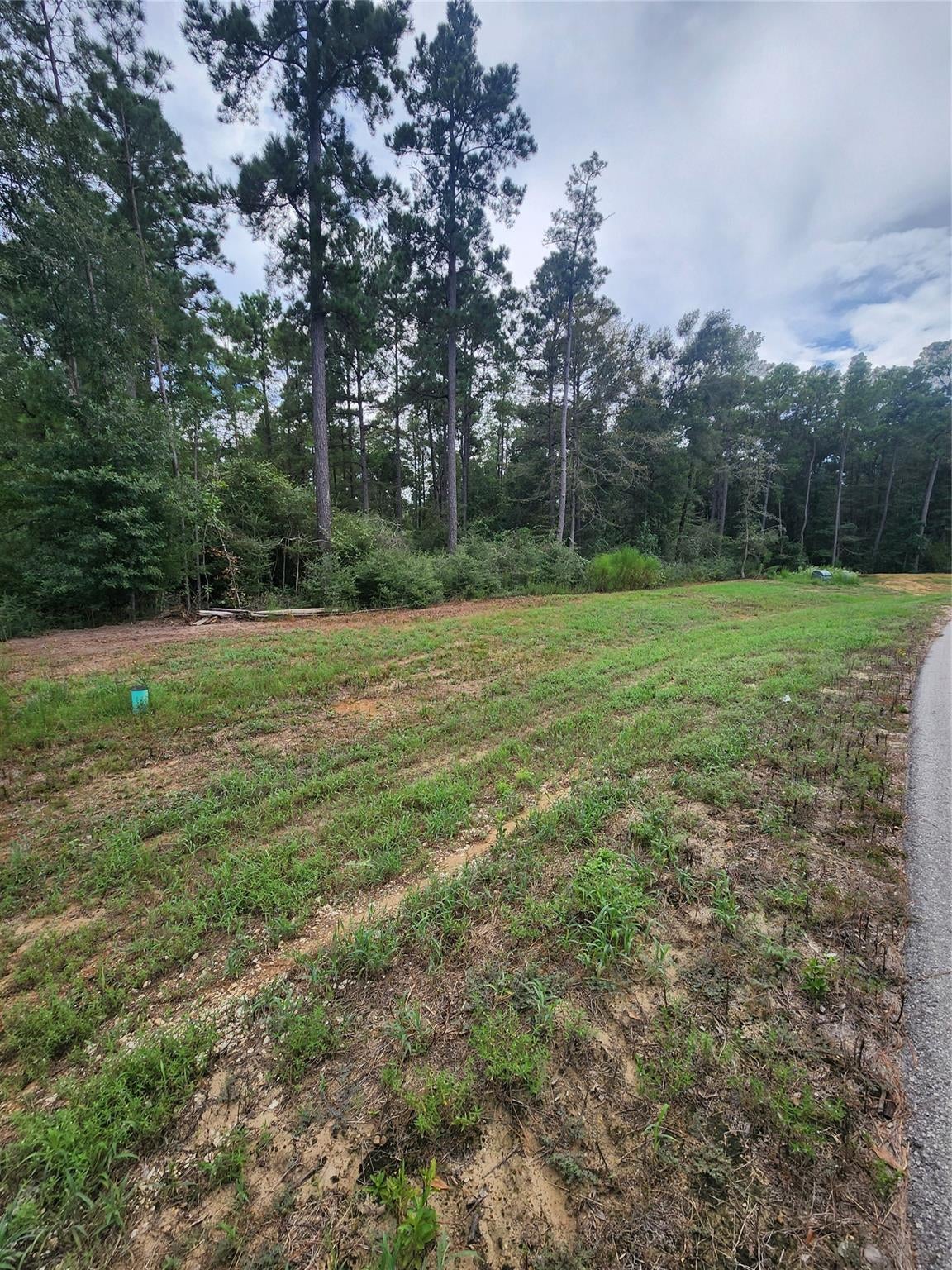 15211 Forest Grove Drive
