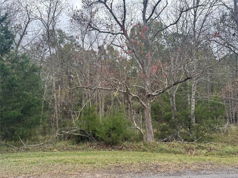 Photo of 22 S Forest Cove Loop, Coldspring, TX 77331 (MLS # 26986623)