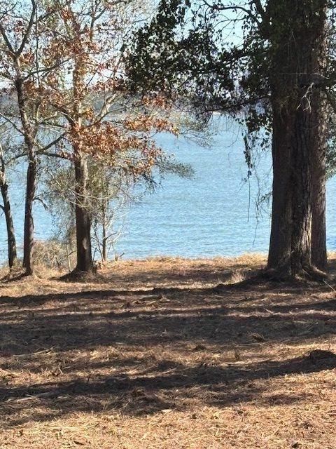 1867 Fm-3186 Onalaska TX 77360