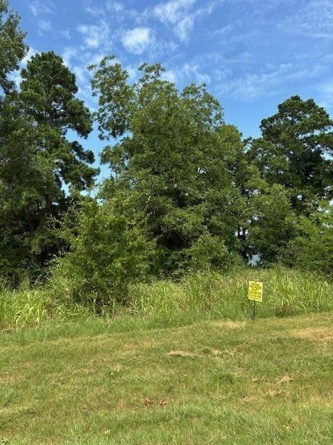 1867 Fm-3186 Onalaska TX 77360