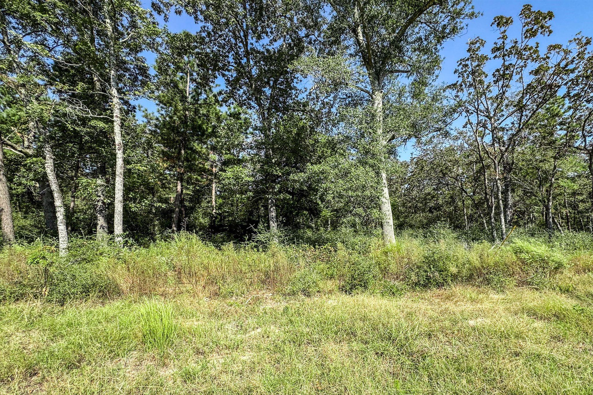 10 Acres Lot 81 Woodland Hills Ranch