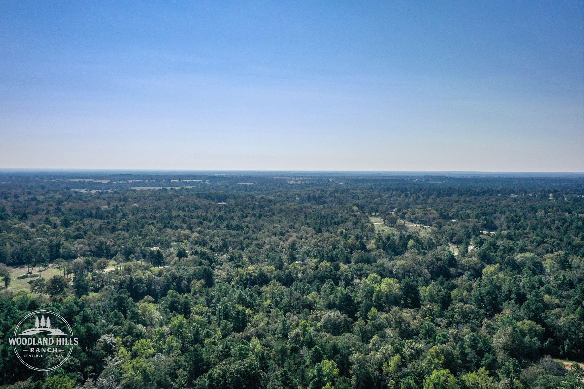 10 Acres Lot 81 Woodland Hills Ranch