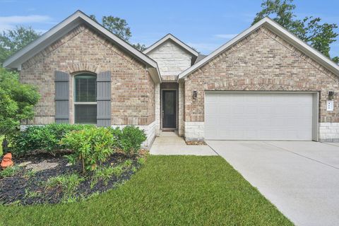 Photo of 165 Temple Lane, New Waverly, TX 77358 (MLS # 63122206)
