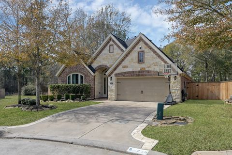 248 Soaring Pines Place Montgomery TX 77316