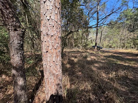 Photo of 107 Whisperwood Drive, Onalaska, TX 77360 (MLS # 40285569)