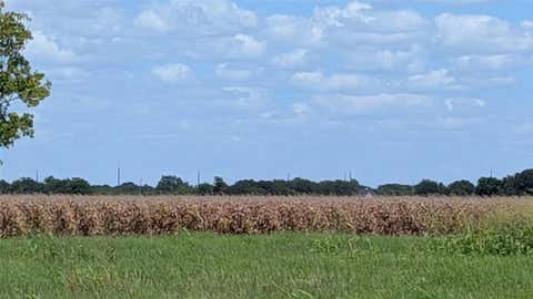 Vacant Land For Sale - 0000 Ward Bend Road<br/> Sealy, TX 77474
