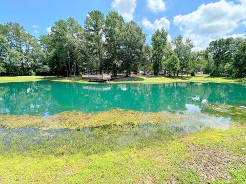 Photo of 25920 Grand Pines Rd, Magnolia, TX 77355 (MLS # 65007680)