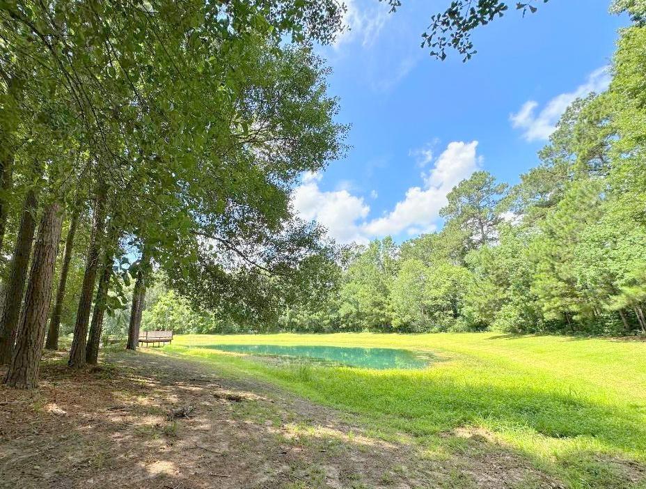 25920 Grand Pines