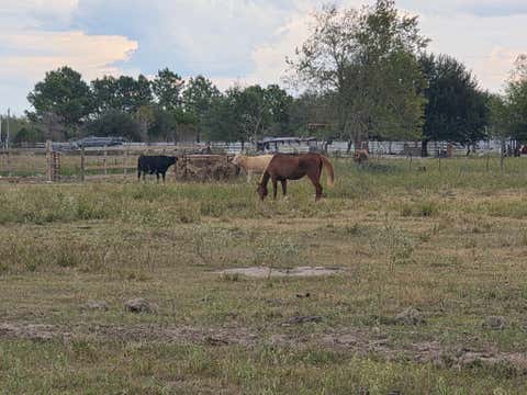 Vacant Land For Sale - 36847 Richard Frey Drive<br/> Waller County, Hempstead, TX 77445