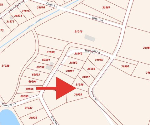 Vacant Land For Sale - 8 Trout Lane<br/> Walker County, Huntsville, TX 77320