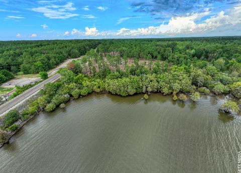 Vacant Land For Sale - 008 Fm 83<br/> San Augustine County, Broaddus, TX 75929