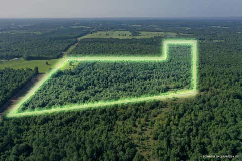 Vacant Land For Sale - TBD County Road 2907<br/> Hughes Springs, TX 75656