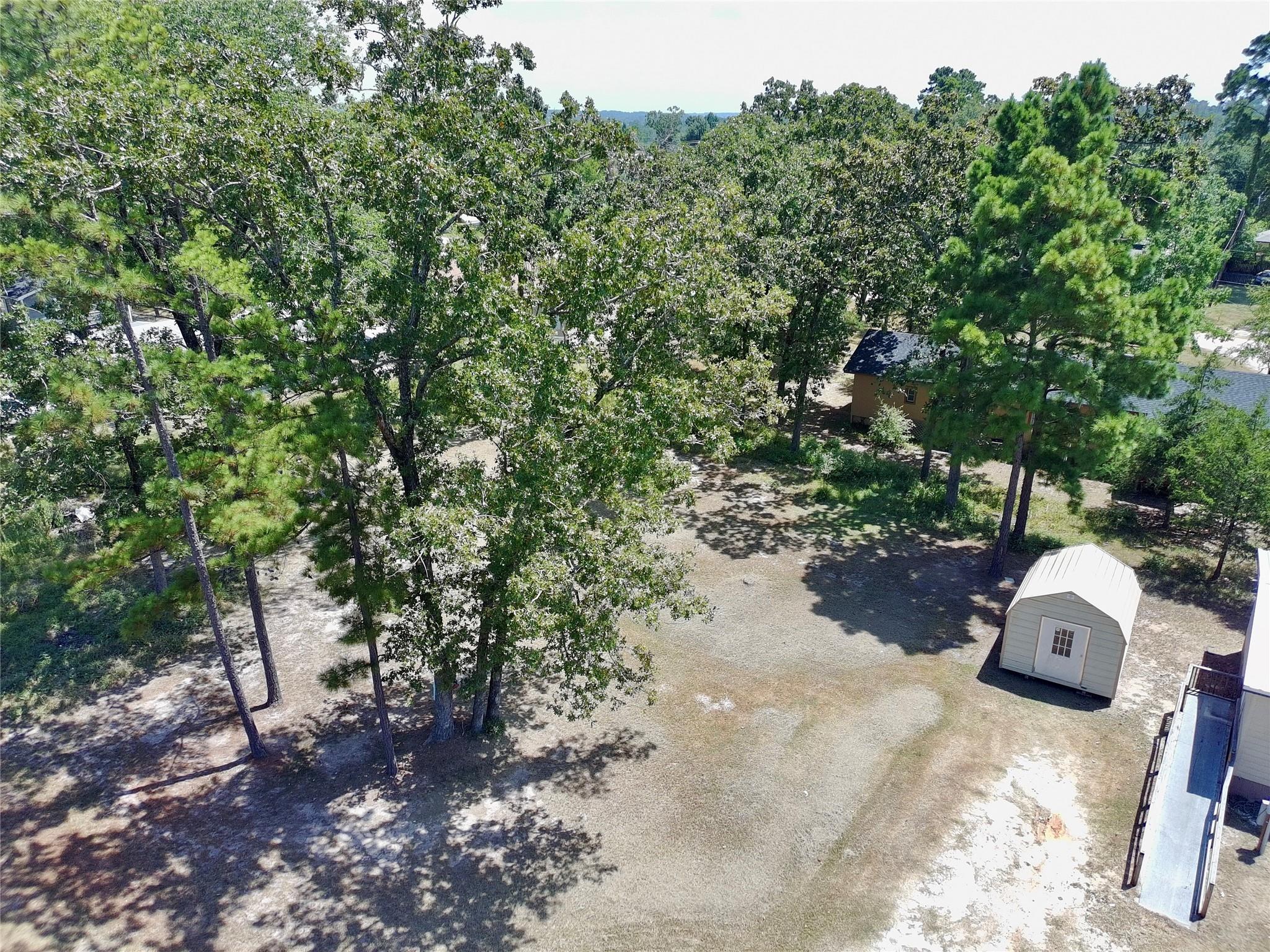 287 Pine Lane